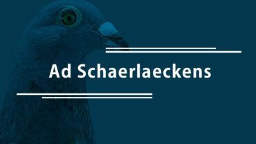 Ad Schaerlaeckens