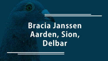 Bracia Janssen, Jan Aarden, Sion, Delbar