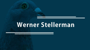 Werner Stellermann