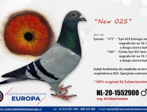 Oryg. Ad Schaerlaeckens- New 025