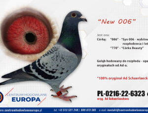 Oryg. CHE – Ad Schaerlaeckens – New 006