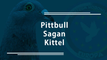 Pittbull, Sagan, Kittel