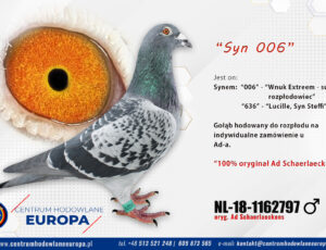 Oryg. Ad Schaerlaeckens- Syn 006